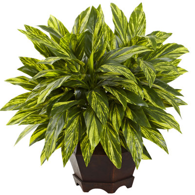 19.5'' Faux Foliage Plant in Wood Planter