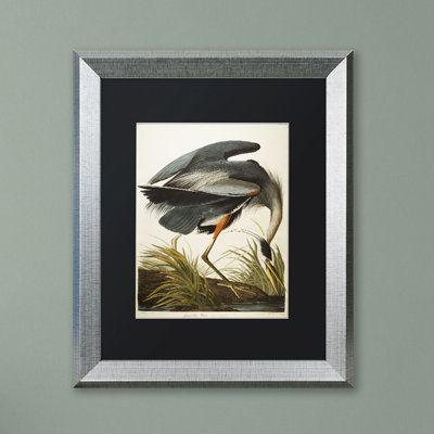 « great blue héron », reproduction d’art sur toile encadrée