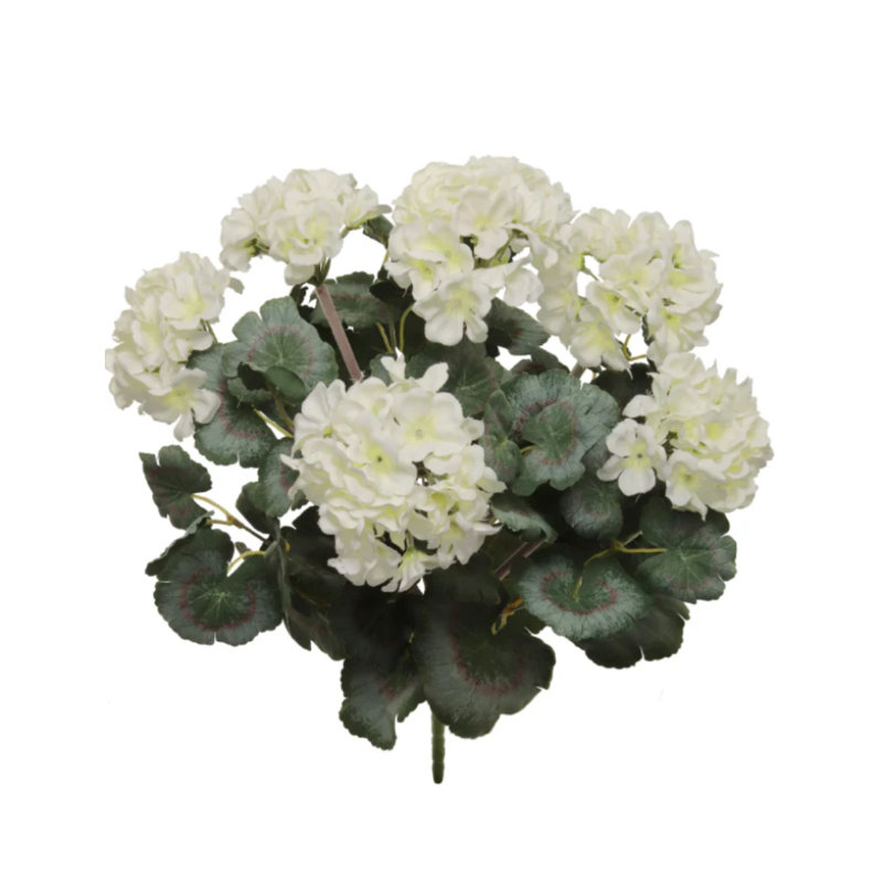 White 18"nat Geranium Bush 20lv