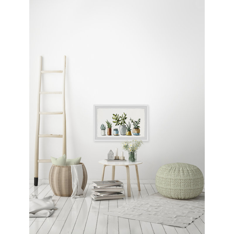 Ornamental Succulents by Marmont Hill - Single Picture Frame Painting, 38cm H x 45cm W