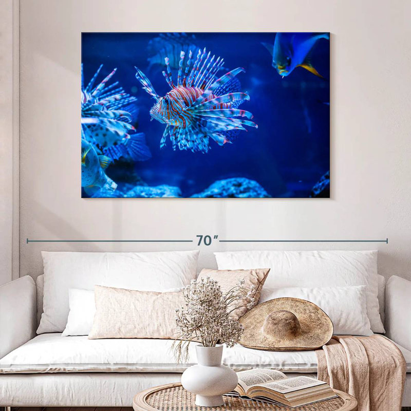 Poisson-lion aquarium Brampt, H 32 po x l 48 po