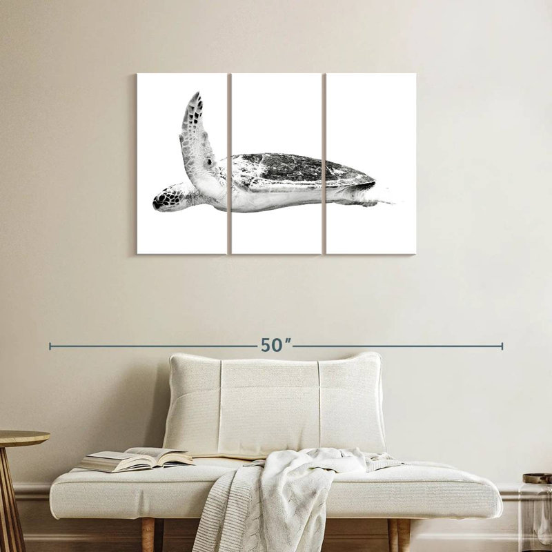 Brampt Noble Hawksbill Turtle, 24" H x 38" W