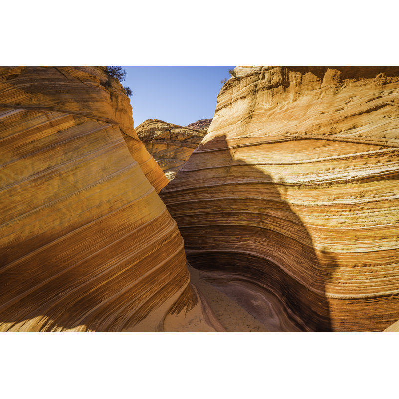 Slot canyon through desert strata wilderness The Wave Arizona, 61cm H x 91cm W