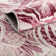 Herricks Floral Indoor Rug