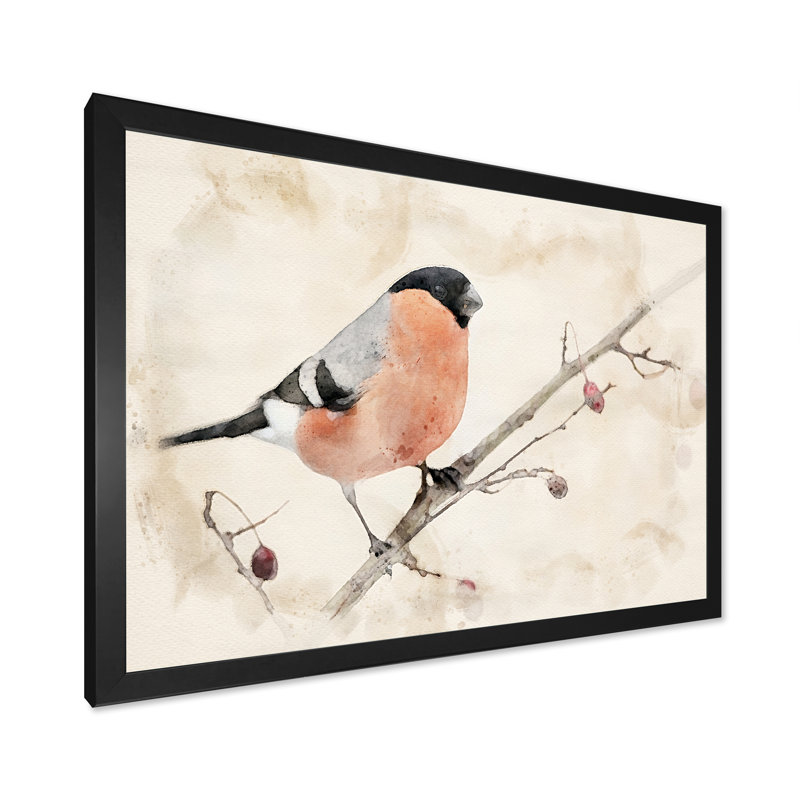 Bouvreuil beige, reproduction de cadre flottant sur toile, Cadre photo noir, H 8 po x l 12 po x P 1 po