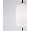 1 - Light Black Bulb Pendant