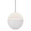 1 - Light LED Pendant
