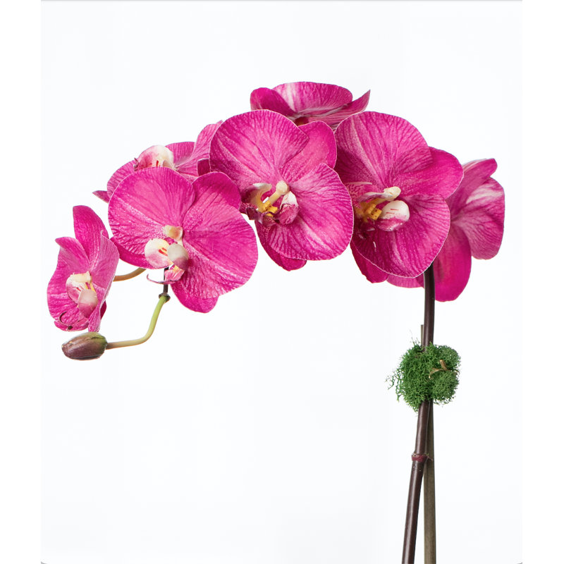 Orchid Floral Arrangements in Planter, Black