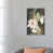 Toile tendue