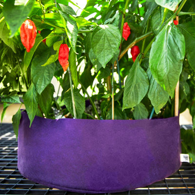 Raised Garden Bed