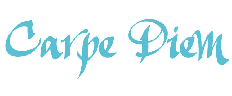 Décalcomanie murale indemnités journalières carpe diem, H 6 po x l 24 po x P 0,01 po, Bleu geyser