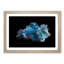 Blue Siamese Fighting Fish in Abstract - Picture Frame Graphic Art Print-55679488-55679492