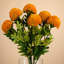 Artificial Arrangement-106401550