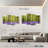 Alvord Hallerbos Bluebells-108894794