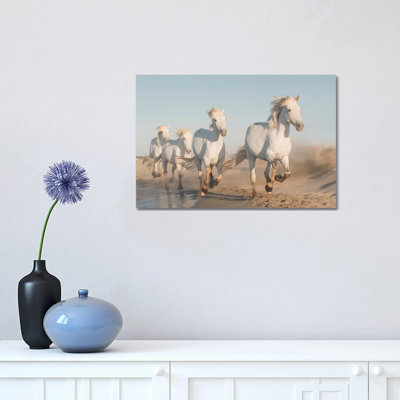 White Angels Of Camargue XXXVII by Daniel Kordan - Print on Canvas