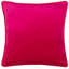 Square Throw Cushion