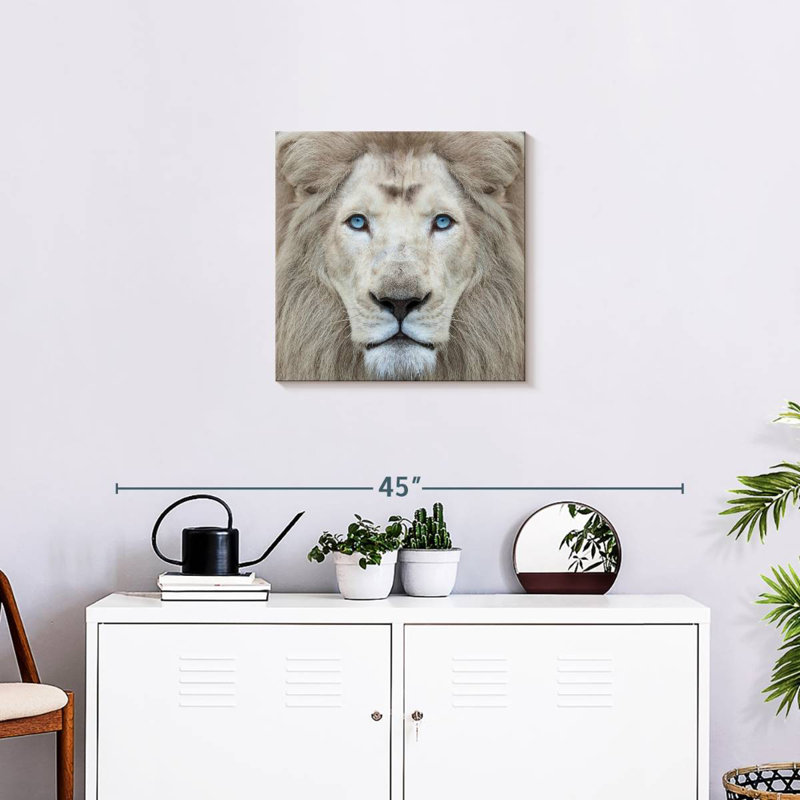 Brampt Exotic Lion, 20" H x 20" W