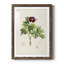 «Pretty Botanicals III», cadre photo-1776683593-1776683584