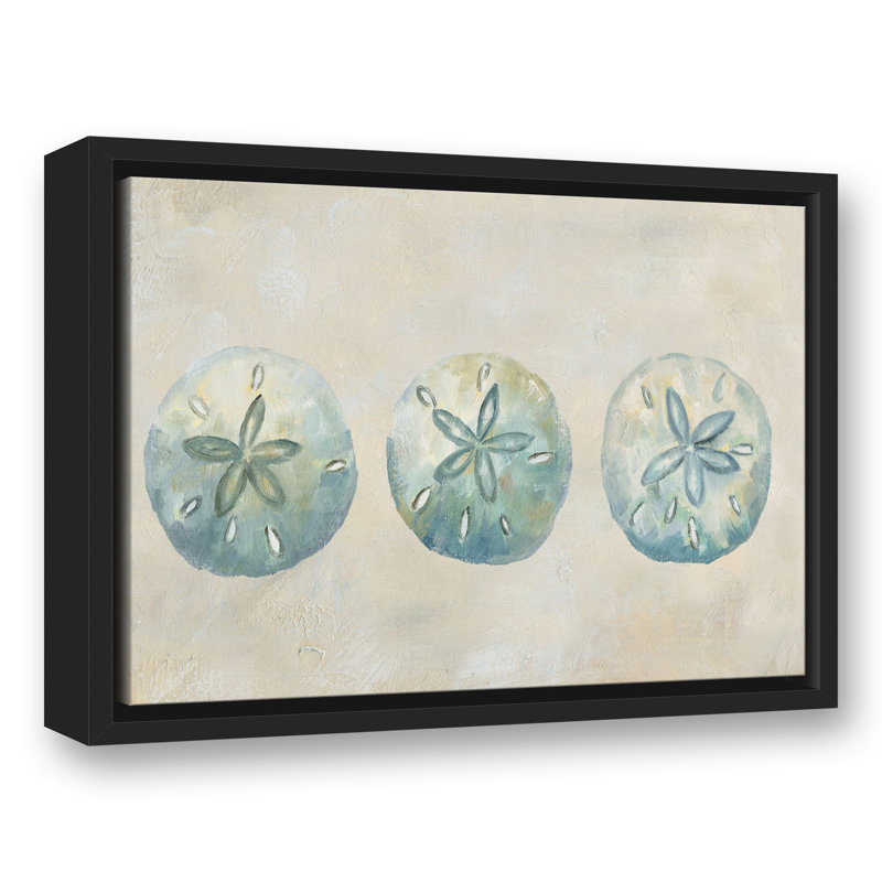 Sand Dollars, H 13,75 po x l 17,75 po