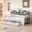 Lit de jour simple en bois avec tablettes de rangement, deux tiroirs et bureau d'étude - Lit multifonctionnel à finition grise-935779645-935779634
