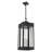 Ikeisha 4 - Light Outdoor Hanging Lantern-1925518093