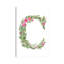 Botanical Letter C by Kelsey McNatt - Floater Frame Rectangle Print on Canvas-1024276317-1072210188
