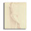 Hardesty Wrapped Canvas Print Set-1451160144