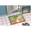 Tapis de porte d’extérieur anti-dérapant aquarelle-38444355