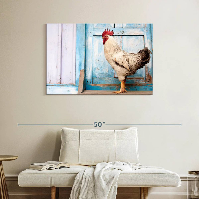 Coq domestique Crowle, H 26 po x l 39 po
