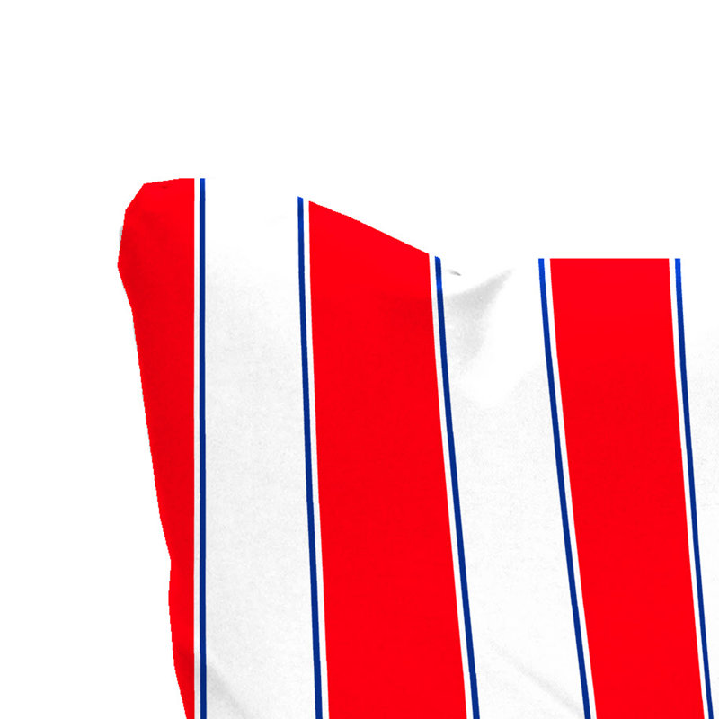 24" x 24" Tufted Outdoor Chair Back Cushion with Button (Set of 2), Red Striped
