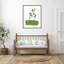 «Little Herb I» par Asia Jensen, reproduction d'art encadrée sur bois-100671848