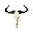 Real Wildebeest Antelope Skull