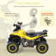 Freeport Park Push/Pull Ride On-1642910766