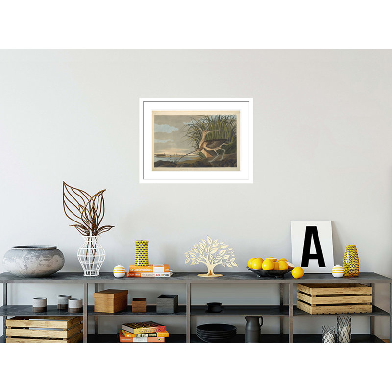 Courlis à long bec des oiseaux d'Amérique de 1827 à 1838 par John James Audubon, impression giclée sur cadre