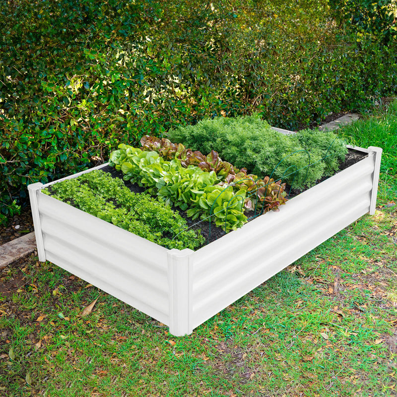 Lit de jardin rectangulaire en acier galvanisé 4 pi x 3 pi x 1 pi The Organic Garden Co. Hakea, H 12 po x l 36 po x P 48 po