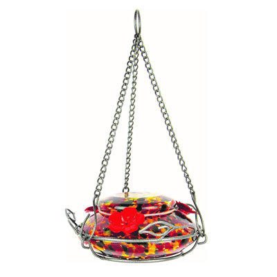 Occeus Glass Hanging Hummingbird Feeder