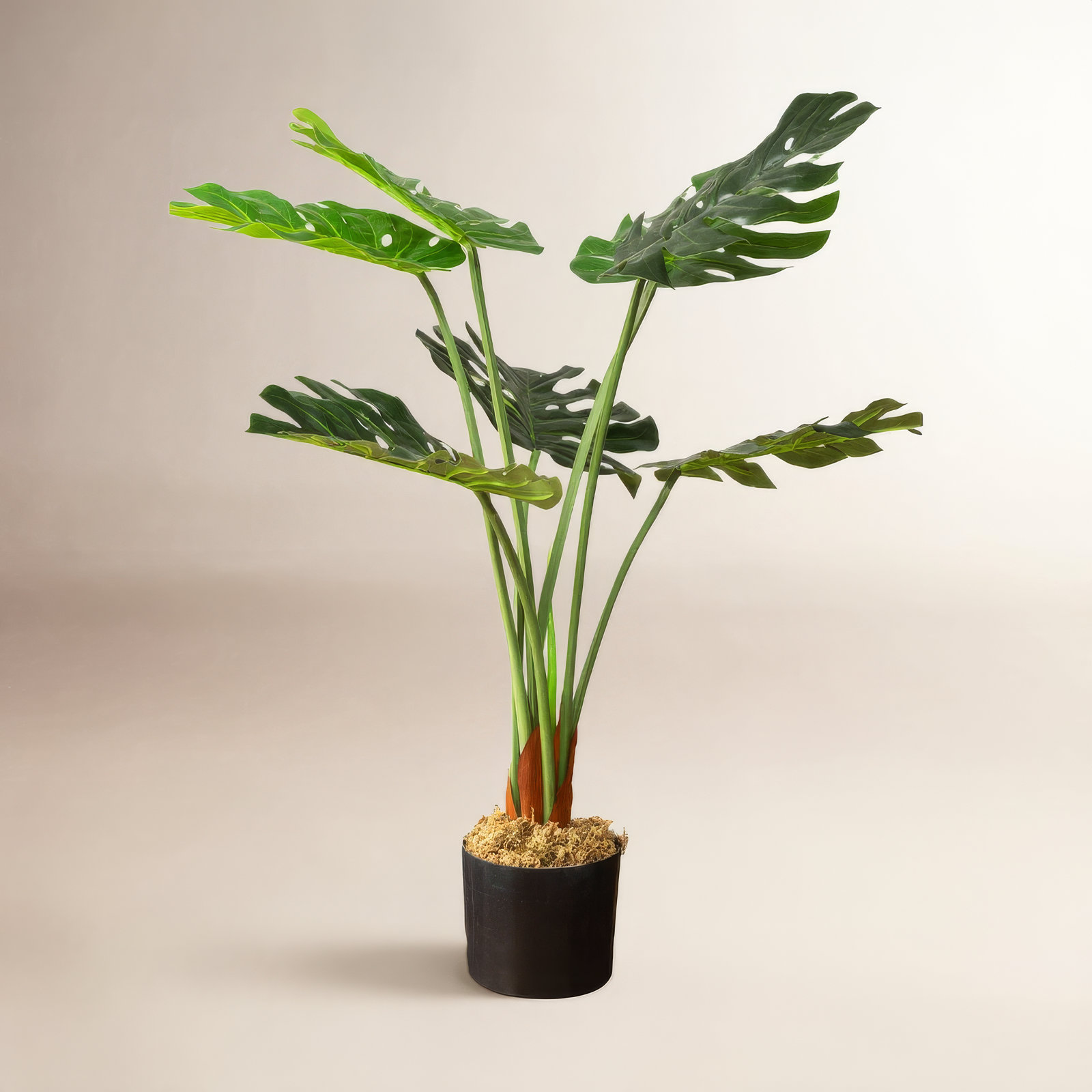 Faux Monstera Plant in Pot, 1, 36" H x 15" W x 15" D