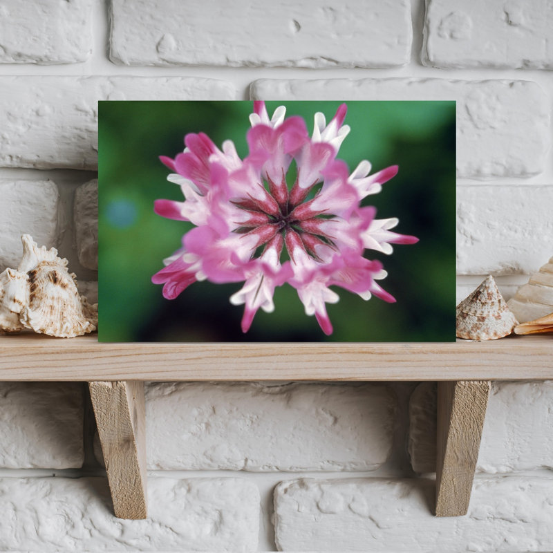 Photographie murale en gros plan d'une fleur rose contemporaine, H 12 po x l 18 po
