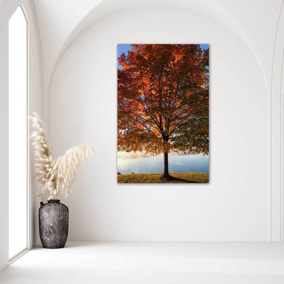 Fotodruck Autumn Tree