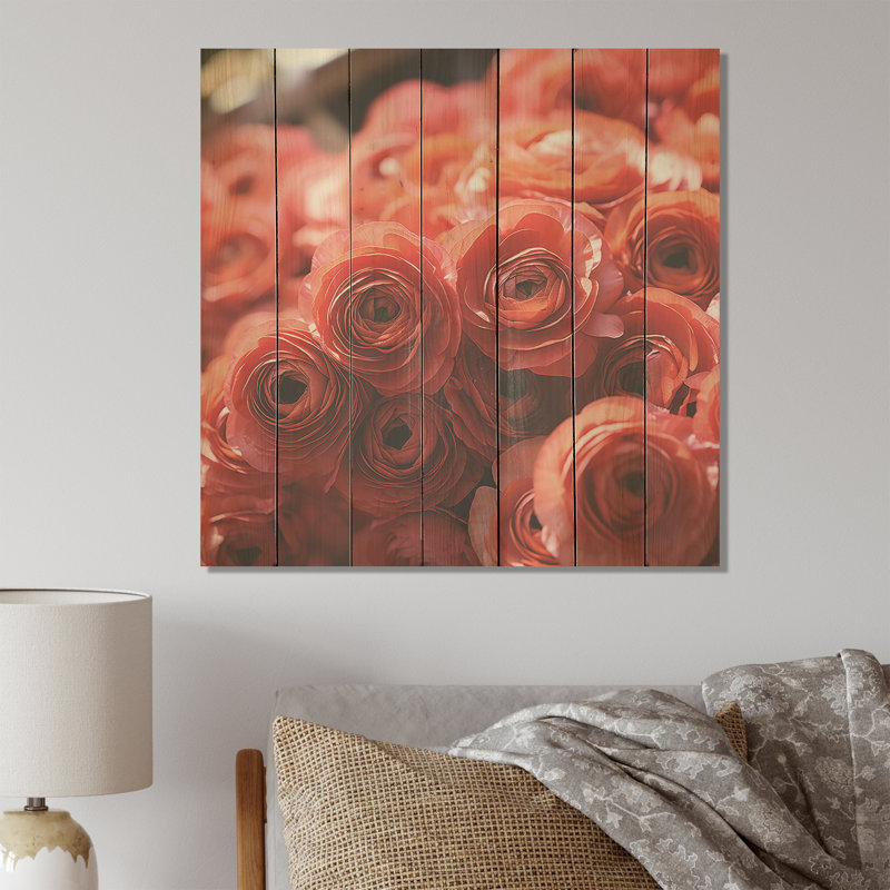 Ranunculus rose, couches de beauté - renoncule sur bois, H 36 po x l 36 po