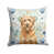 Tawny Briard