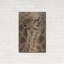 Métal luxueux «New Born» par Collin Bgo-101623537