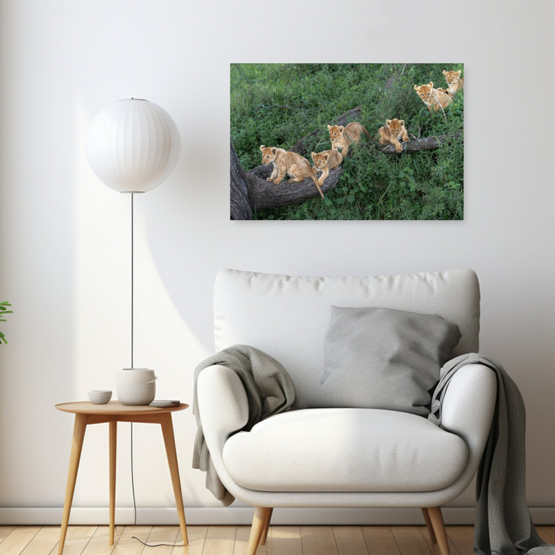 Playful Lion Cubs Playful Abstract Contemporary Cat Lion Nature Tree Wall Art Print by Jeffrey C. Sink - 1 Piece Wrapped Canvas Wall Art