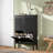 Modern Minimalist Style Large Capacity Shoe Cabinet-1383914999