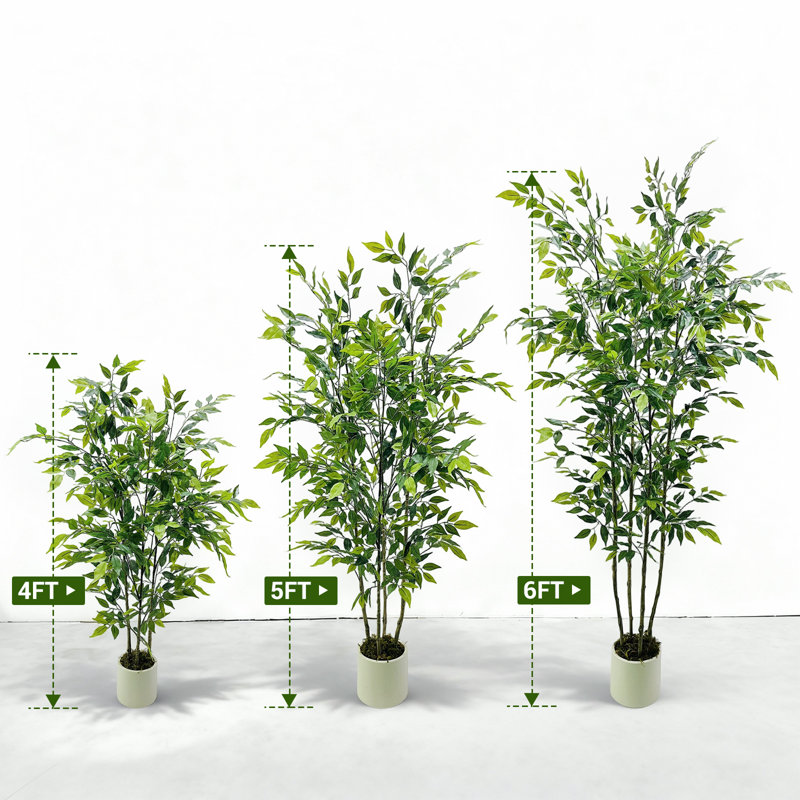 Plant, 150cm x 17.78cm