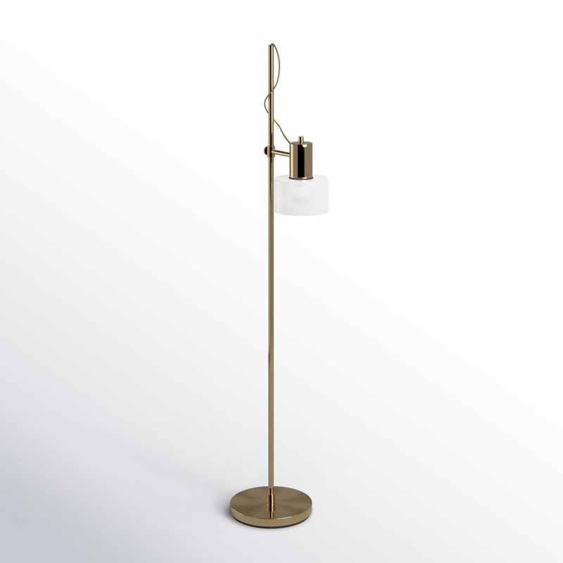 Timi 56'' Polished Task Floor Lamp