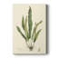 «Curtis Ferns IV», impression sur toile tendue-965016271