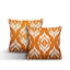 Coussin décoratif intérieur / extérieur Ikat-1391495176-1391496182