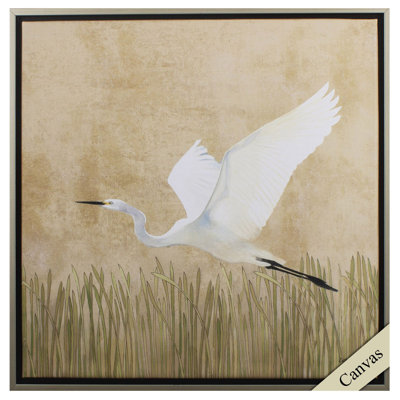 Aigrette se posant II