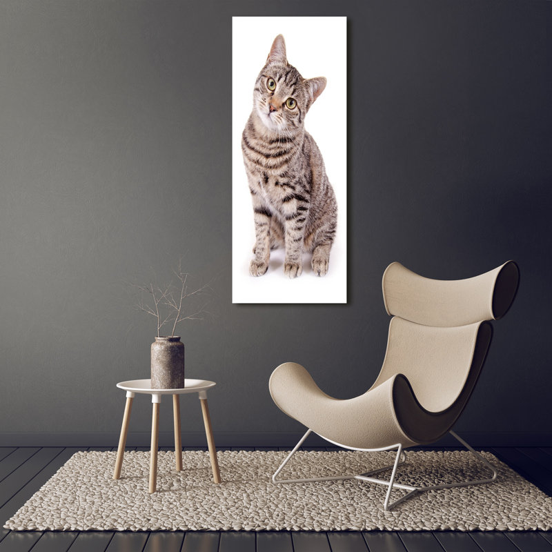 Cat - Wrapped Canvas Print